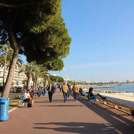 Conseil Immo - Moderne A 250 M Du Palais Des Festivals Et Des Plages *