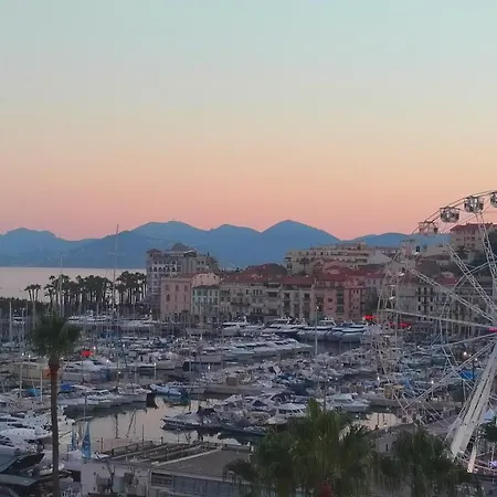 Apartment Conseil Immo - Moderne A 250 M Du Palais Des Festivals Et Des Plages