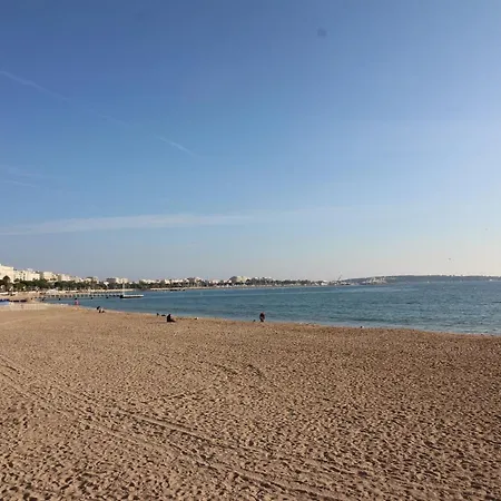 Conseil Immo - Moderne A 250 M Du Palais Des Festivals Et Des Plages Apartment Cannes