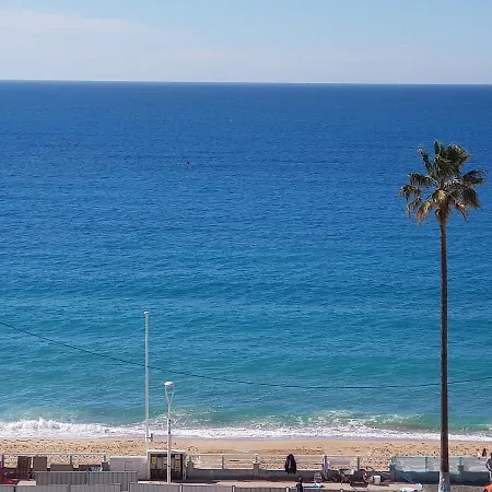 Conseil Immo - Moderne A 250 M Du Palais Des Festivals Et Des Plages Apartment Cannes