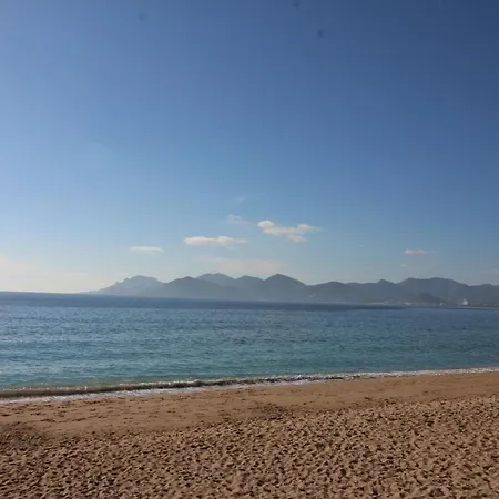 Conseil Immo - Moderne A 250 M Du Palais Des Festivals Et Des Plages Apartment *